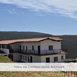Vinas Del Castillo